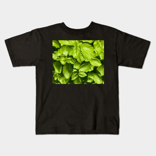 Basil for You! Kids T-Shirt by Photomersion